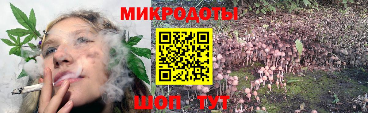 Псилоцибиновые грибы Cubensis Новый Уренгой